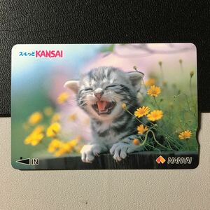南海/2001年度発売開始柄ー動物「猫　あくび」ーコンパスカード(使用済/スルッとKANSAI)