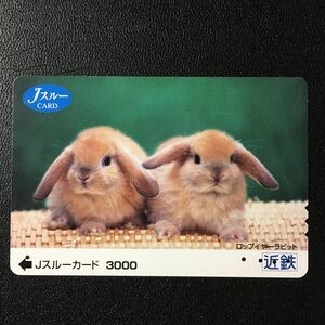 近鉄/2004年度発売開始柄ー動物「ロップイヤーラビット」ーJスルーカード(使用済)