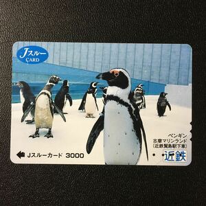  close iron /2006 fiscal year sale beginning pattern - animal [ penguin (.. marine Land )]-Js Roo card ( used )