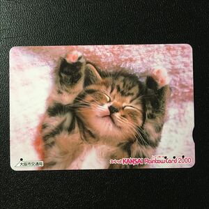 大阪市交通局/2006年度発売開始柄ー動物「こねこのおひるね」ーレインボーカード(使用済スルッとKANSAI)