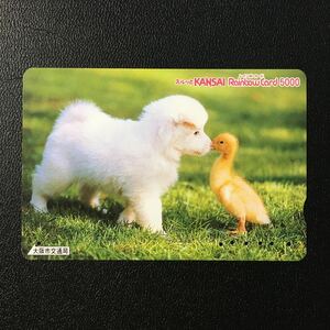 大阪市交通局/2003年度発売開始柄ー動物「犬とアヒル」ーレインボーカード(使用済スルッとKANSAI)