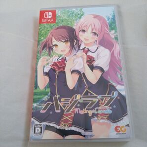 Nintendo Switch ニンテンドースイッチ ハジラブ