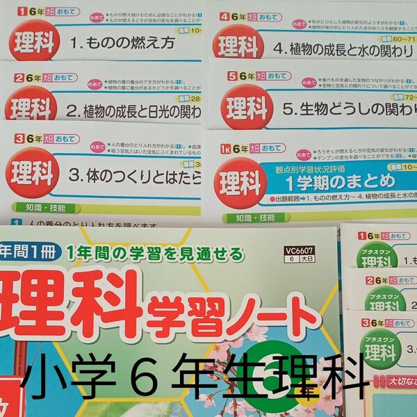 小学６年生　理科　カラー　プリント　テスト　大日本図書　教育同人社　予習　復習　家庭学習　塾　対策　理科学習ノート解答