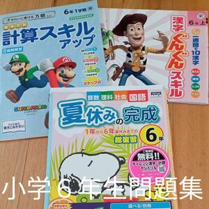 ６年生　問題集　予習復習　家庭学習　自宅保管　セット売り　対策　先取り