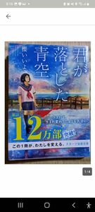 君が落とした青空(文庫本)