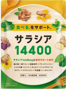 単品 サラシア14400 サラシア 桑の葉 ウコン 菊芋 乳酸菌 ナットウキナーゼ ショウガ 13種類の贅沢成分 90粒 30日