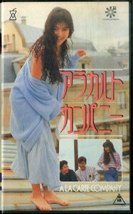 H00021062/VHSビデオ/今井美樹「アラカルトカンパニー」