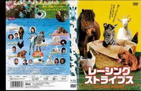 レーシング・ストライプス DVD※同梱発送8枚迄OK！ 6a-3301