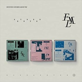 【新品未開封】 SEVENTEEN / SEVENTEEN 10th Mini Album FML（韓国盤） 6g-5018