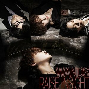 【新品未開封】 WAND / RAISE INSIGHT （通常盤）（Bluray Disc付） 6g-3424