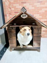 新品 防風 防雨 犬小屋 屋外 XXLサイズ（110×80×100） サーモウッド製 ドッグハウス 窓付き 風通し ペットハウス 大型犬 キャットハウス_画像3