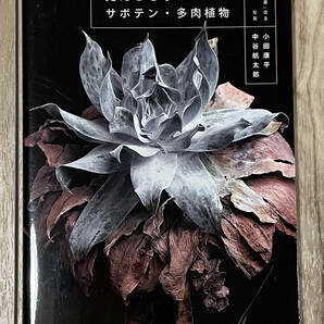 見たことないサボテン・多肉植物 / 小田康平の画像1