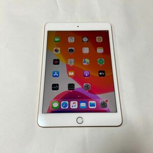 IPad Mini 5 WiFi + Cellular 64GB Gold