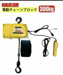 三方良し　電動チェーブロック300kg 揚程4m 電動ホイスト1速型　電気チェーンブロック 小型 電動チェーンホイスト電源100V　50/60Hz対応★