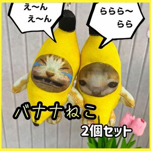 バナナねこ　2個セット　猫ミーム　バナナキャット　TikTok 大人気　 キーホルダー ぬいぐるみ