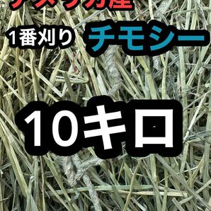 チモシー10キロ　ウサギ モルモット　デグー チンチラ １番刈