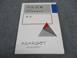 WB05-169 アガルートアカデミー 司法試験 総合講義論証集 刑法 2022年合格目標 状態良い 12s4D