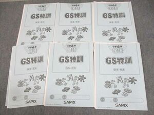 WA11-017 SAPIX 小6 国語 GS特訓 GS-01～06 2021年度版 計6冊 27S2D