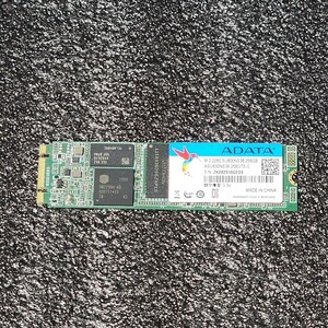 ADATA Ultimate SU800(ASU800NS38-256GTS-C) 256GB SATA SSD フォーマット済み PCパーツ M.2 2280 動作確認済み 240GB 250GB