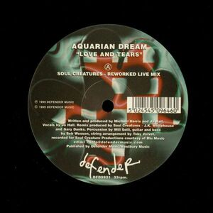 試聴 Aquarian Dream - Love And Tears [12inch] Defender Music UK 1999 House