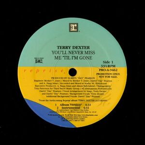 試聴 Terry Dexter - You'll Never Miss Me 'Til I'm Gone [12inch] Reprise Records US 1998 R&B