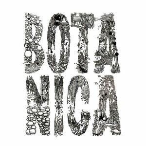 試聴 Iori Wakasa - Botanica EP [12inch] Botanica JPN 2023 Minimal