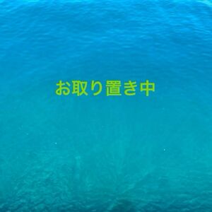 （41）（44）サンキュータグ　フレークシール5枚入×（40個＋30個）、（12）紙袋