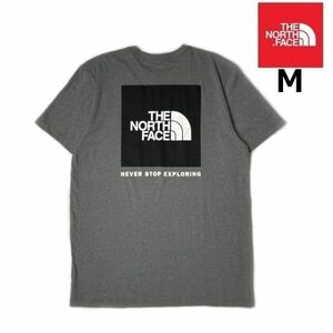 売切り【正規新品】THE NORTH FACE S/S BOX NSE TEE 半袖 Tシャツ US限定 ボックスロゴ 男女兼用 アウトドア キャンプ(M)グレー 180902-13