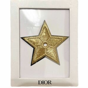 クリスチャンディオール Christian Dior ピンバッチ スター 星 ETOILE エトワール 刺繍ゴールド 金具シルバー
