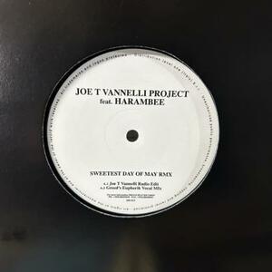 Joe T. Vannelli Project Feat. Harembee Sweetest Day Of May [12”] イタロハウス electronic house dream beat