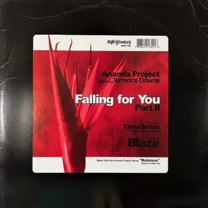 Ananda Project Featuring Terrance Downs Falling For You (Part II) [12”] House Deep House Garage House