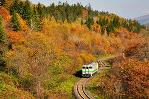 鉄道 デジ 写真 画像 JR北海道 キハ40 石北本線 18