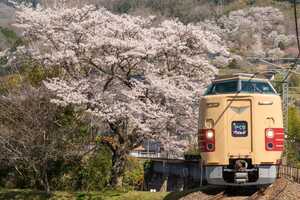 鉄道 デジ 写真 画像 381系 国鉄色 特急やくも 8