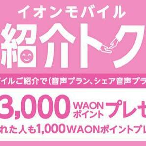 イオンモバイル 紹介 キャンペーン クーポンコード 1000 WAON ポイント＋1GB コード 紹介 トク 3000 ワオン エントリーパッケージ 格安 SIMの画像2