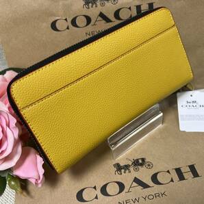 コーチ COACH 長財布 財布 アコーディオン ウォレット スヌーピー モチーフ フラックス マルチ COACH X PEANUTS コラボ ギフト CE715 A090の画像4