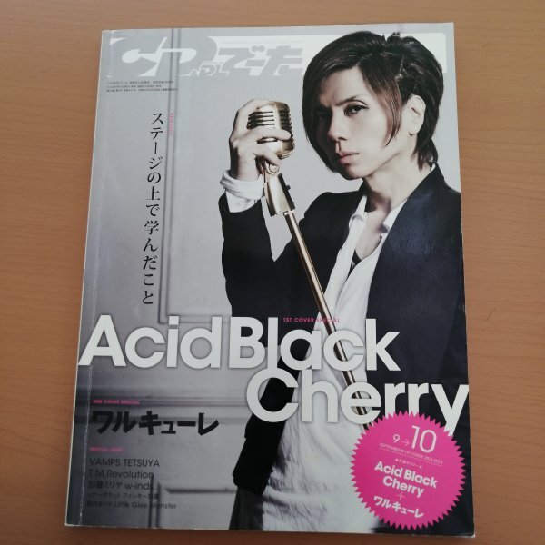 今週の新着アイテム 2025年最新】Yahoo!オークション -acid black cherry(本、雑誌 ミュージシャン