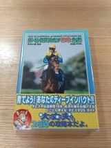 【E0632】送料無料 書籍 ダービースタリオンDS全書 ( 帯 DS 攻略本 DERBY STALLION 空と鈴 )_画像1