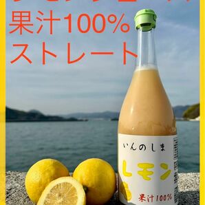 【瀬戸内レモンジュース】720ml×12本 果汁100％ ストレート 無添加