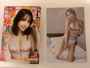 ヤングチャンピオン増刊 別冊ヤングチャンピオン ２０２４年２月号 桃月なしこ 岸みゆ 新品