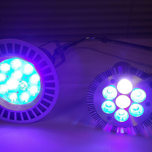 ボルクスジャパン グラッシーレディオ Grassy LeDio RX122CRコーラル 熱帯魚 海水 水槽 照明 LED の画像4