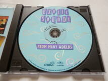 CD/映画音楽/Exotic Sounds From Many Worlds/Ravi Shankar:Title/Popol Vuh:City Raga/モアイの謎/ワンス.ウォリアーズ/リトル.ブッダ 他_画像3