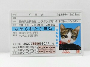 ■ ドラ吉　ブルー　なめねこ　なめ猫　なめんなよ　カードコレクション 猫　免許　免許証　運転免許証　マタタビ　公安委員会