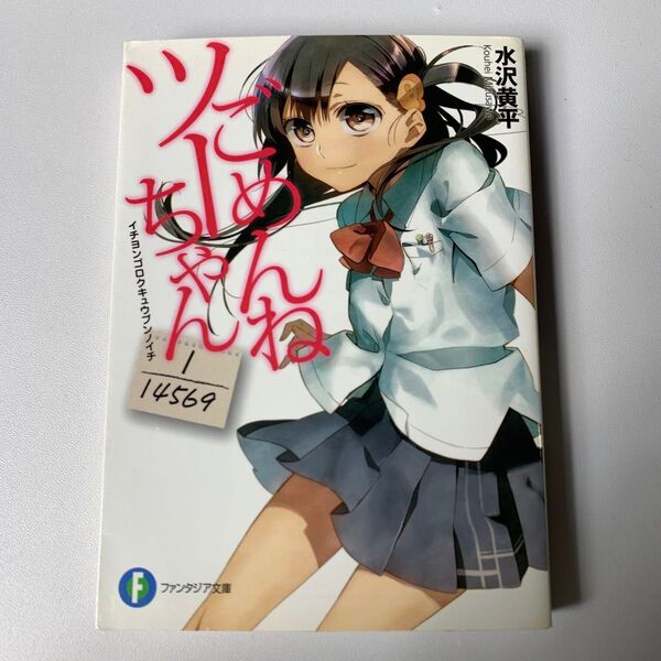 ごめんねツーちゃん　１／１４５６９ （富士見ファンタジア文庫　み－４－１－１） 水沢黄平／著