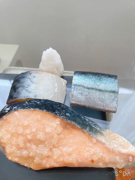 実物大食品サンプル 魚の切り身