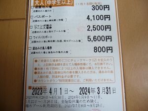 ナガシマスパーランド・湯あみの島補助券(割引券)大人1枚有効期限2024年3月31日迄ご注意下さい！