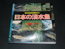 ab3■日本の淡水魚 (山渓カラー名鑑)/1989年１刷_画像1