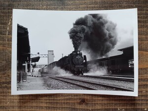 写真 古写真 電車 鉄道【蒸気機関車】古い鉄道写真 鉄道写真（鉄道資料 鉄道コレクション 国鉄）D51 774