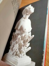 The Jeff Koons Handbook ジェフ・クーンズ_画像7