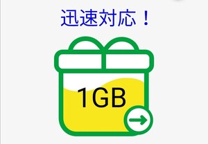 【送料無料・迅速・匿名発送】mineo1GB(1000MB)パケットギフト