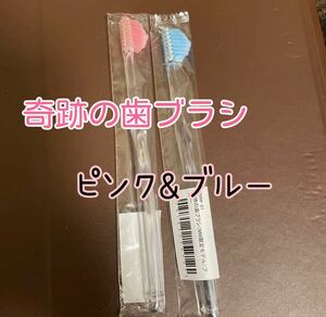 奇跡の歯ブラシ　ブルー　ピンク　2本　大人気　再入荷